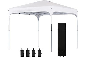 51IUNMQ7SXL._AC_UL320_