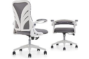 61Ha5WcjFlL._AC_UL320_