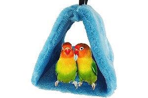 61me9QMYjrL._AC_UL320_