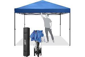 61uBxY7v7vL._AC_UL320_