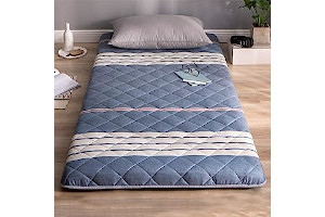 61x9qWf4pPL._AC_UL320_