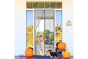 71CjWh59rWL._AC_UL320_