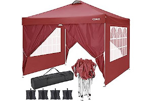 71J1y7OwhvL._AC_UL320_