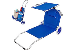 71OP5z6dSML._AC_UL320_