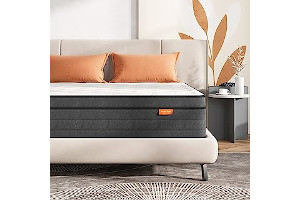 81H9BmIa6FL._AC_UL320_