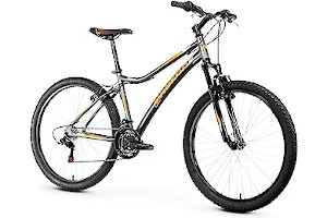 81JIyWuoGML._AC_UL320_