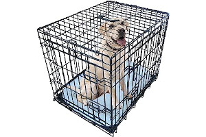 91UXNeXexSL._AC_UL320_